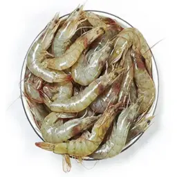 Small Shrimp